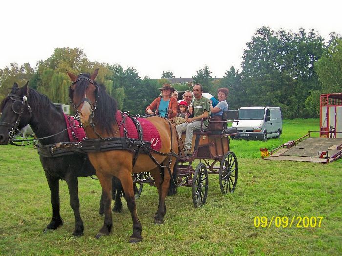 ou 4 passagers attel deux chevaux 1 heure 50 2 heures 95 