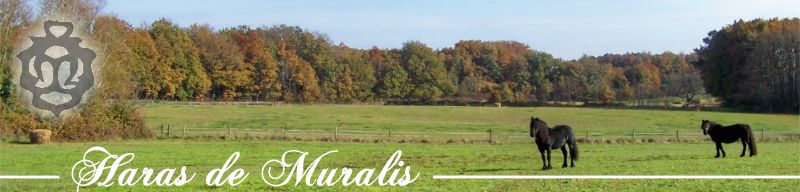 HARAS DE MURALIS